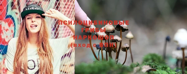 крисы Белоозёрский
