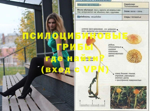 крисы Белоозёрский