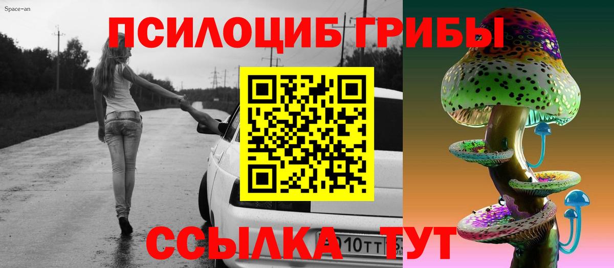 Верхняя Пышма  Галлюциногенные грибы Cubensis  купить закладку  Вход с VPN 